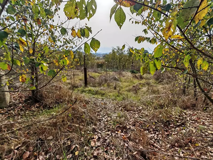 Immagine 19 di Casa semindipendente in vendita  in VIA di lucignano a Foiano Della Chiana
