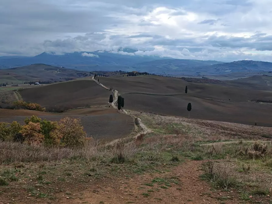 Immagine 11 di Rustico / casale in vendita  in VIA fonti a Pienza