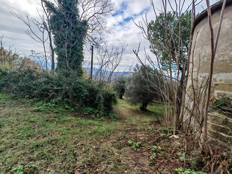 Immagine 14 di Rustico / casale in vendita  in VIA fonti a Pienza