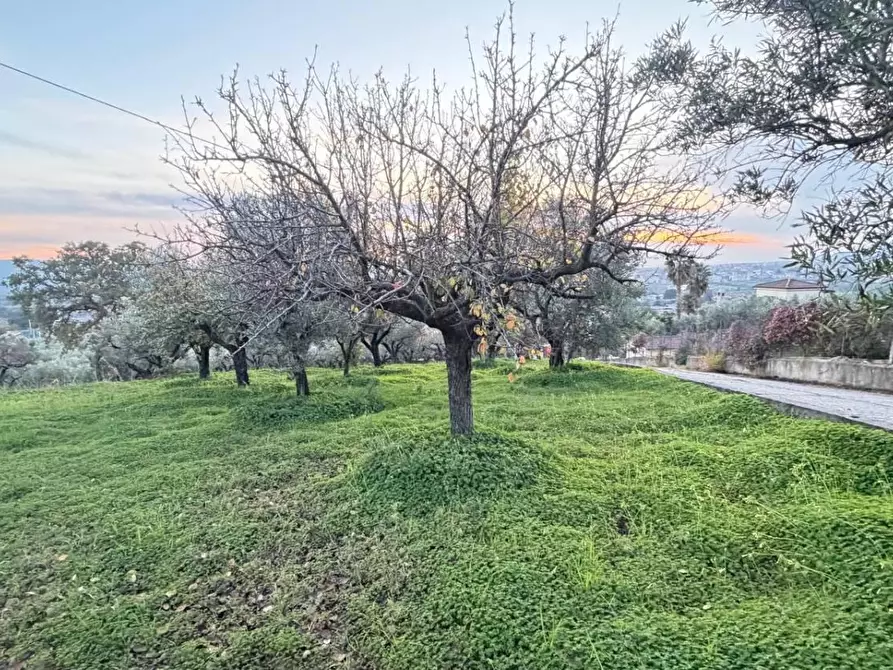 Immagine 3 di Terreno agricolo in vendita  in VIA dario leone a Lamezia Terme