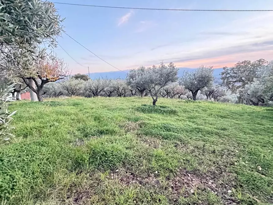 Immagine 1 di Terreno agricolo in vendita  in VIA dario leone a Lamezia Terme