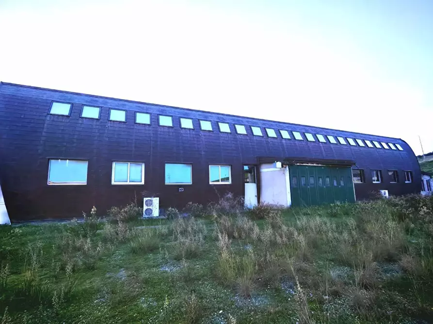 Immagine 14 di Capannone industriale in vendita  in CONTRADA borda 22 a Sersale