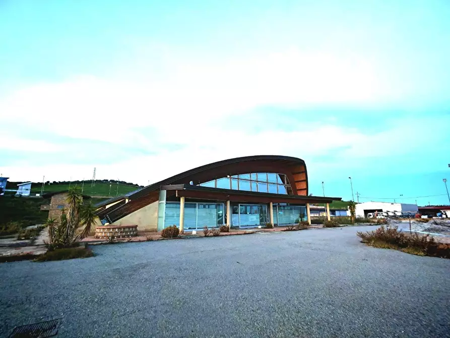 Immagine 3 di Capannone industriale in vendita  in CONTRADA borda 22 a Sersale