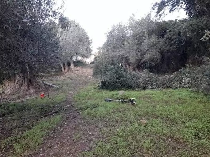 Immagine 18 di Casa indipendente in vendita  in VIA granato a Cefalù
