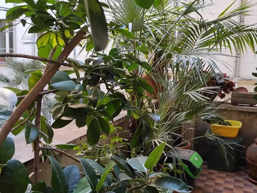 Immagine 16 di Appartamento in vendita  in VIA eleonora  d'arborea a Roma