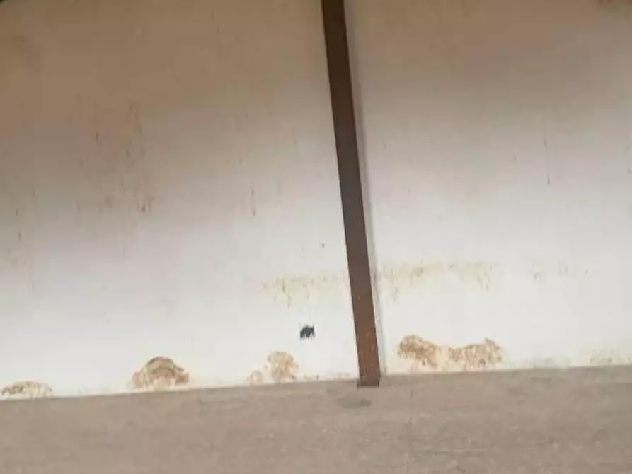 Immagine 17 di Locale commerciale in vendita  in VIA pietre mole 7 a Monreale