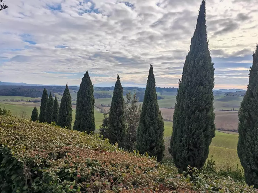 Immagine 13 di Rustico / casale in vendita  a Castelnuovo Berardenga