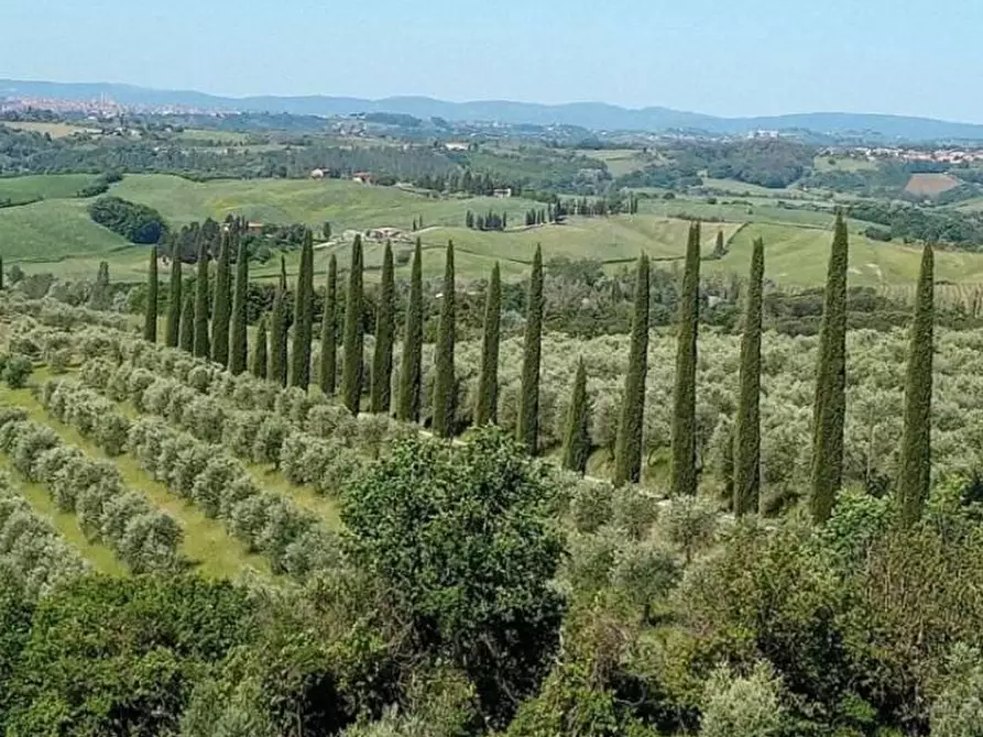 Immagine 14 di Rustico / casale in vendita  a Castelnuovo Berardenga