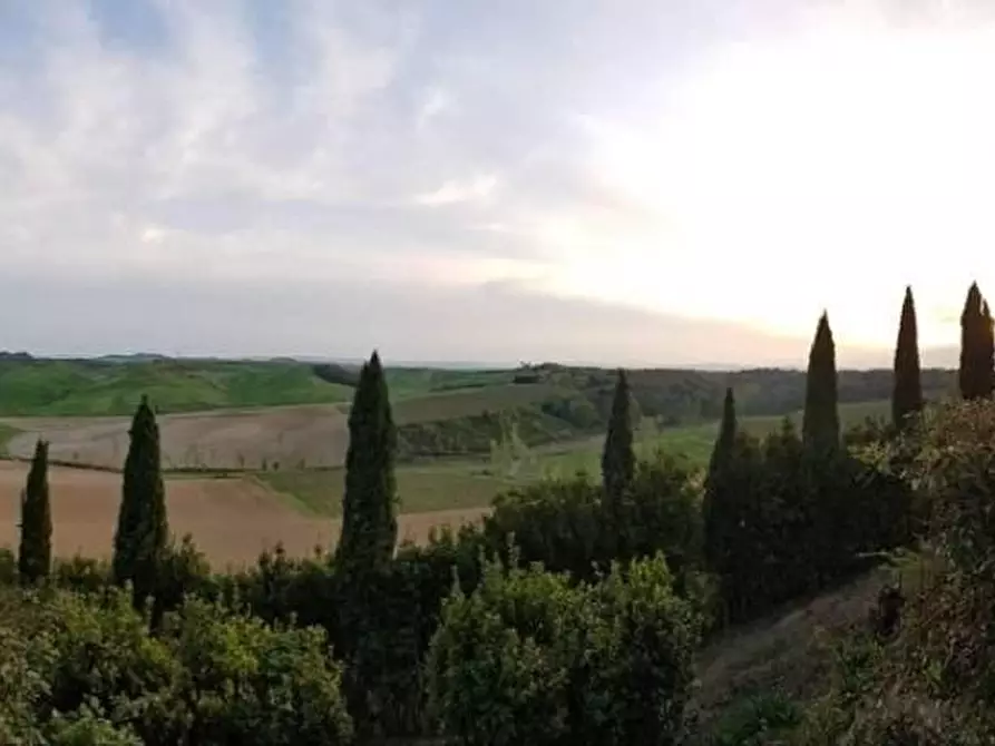 Immagine 4 di Rustico / casale in vendita  a Castelnuovo Berardenga