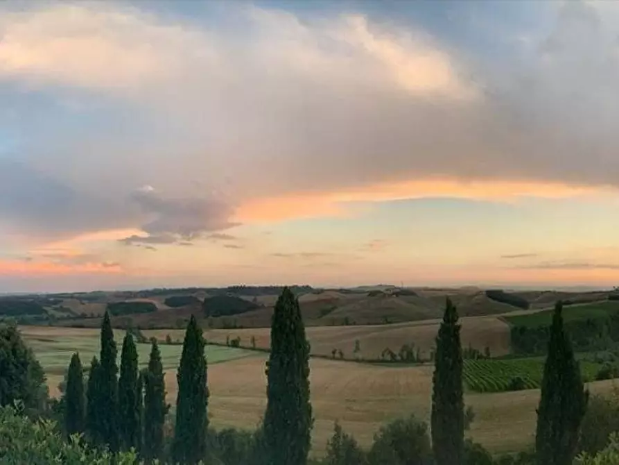 Immagine 5 di Rustico / casale in vendita  a Castelnuovo Berardenga