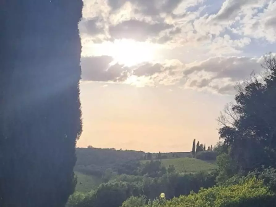 Immagine 6 di Rustico / casale in vendita  a Castelnuovo Berardenga