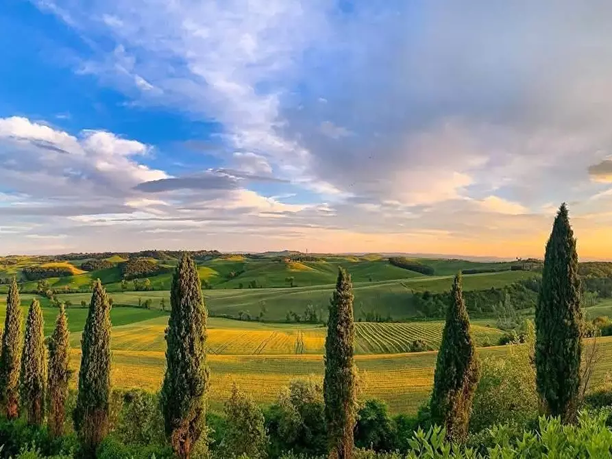 Immagine 2 di Rustico / casale in vendita  a Castelnuovo Berardenga