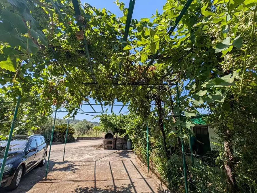 Immagine 21 di Villa in vendita  in LOCALITA'baronessa 1 a Belvedere Di Spinello