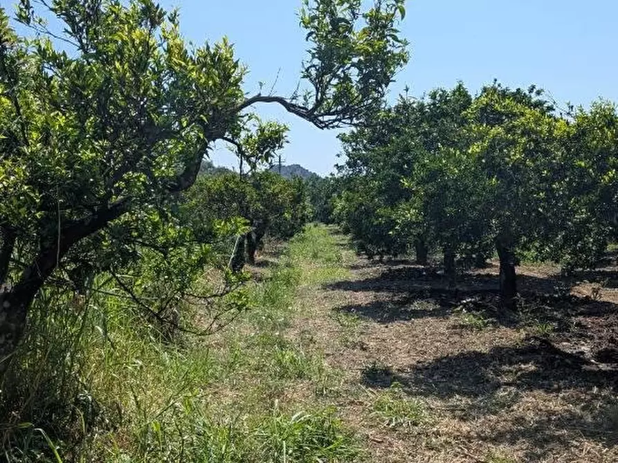 Immagine 22 di Villa in vendita  in LOCALITA'baronessa 1 a Belvedere Di Spinello