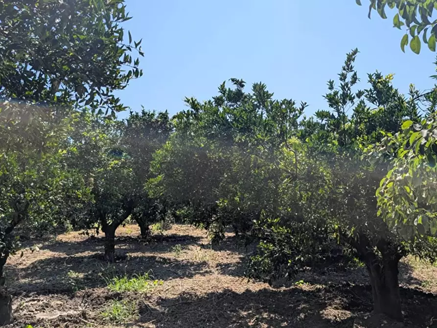 Immagine 27 di Villa in vendita  in LOCALITA'baronessa 1 a Belvedere Di Spinello