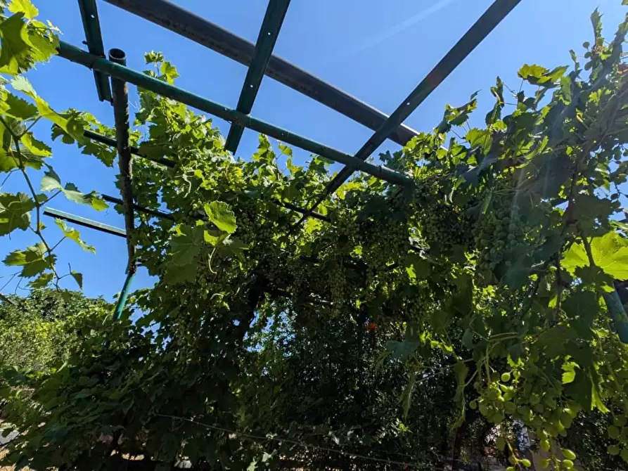 Immagine 28 di Villa in vendita  in LOCALITA'baronessa 1 a Belvedere Di Spinello