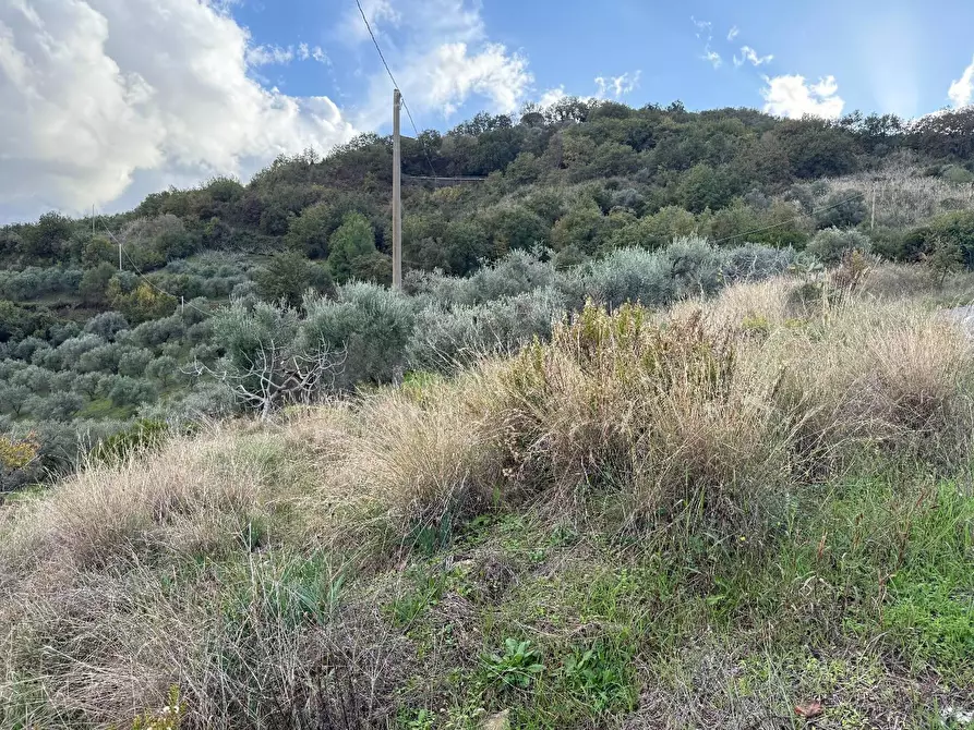 Immagine 2 di Terreno agricolo in vendita  in CONTRADA gelso 18 a Agropoli