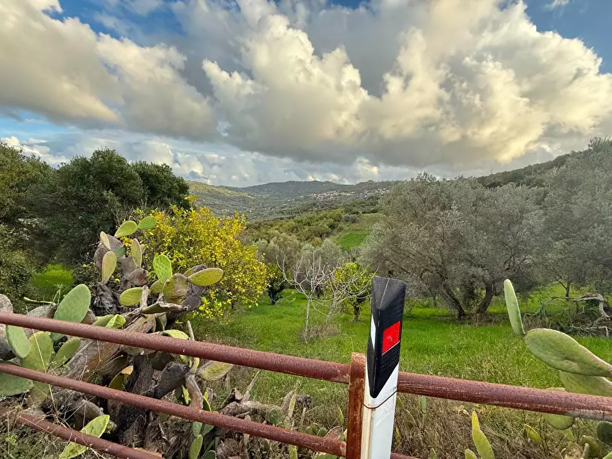 Immagine 3 di Terreno agricolo in vendita  in CONTRADA gelso 18 a Agropoli
