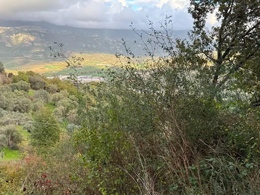 Immagine 4 di Terreno agricolo in vendita  in CONTRADA gelso 18 a Agropoli