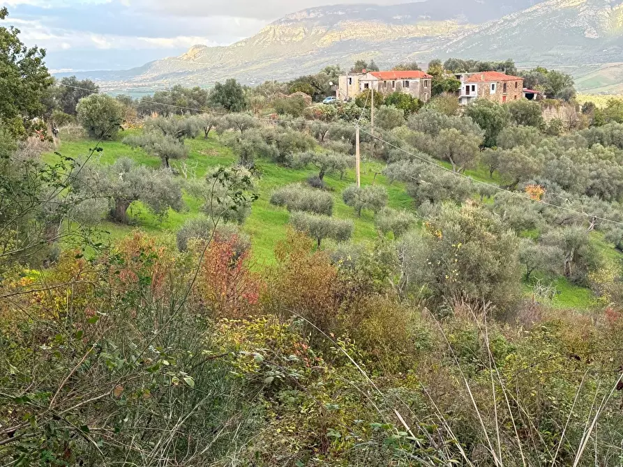 Immagine 5 di Terreno agricolo in vendita  in CONTRADA gelso 18 a Agropoli