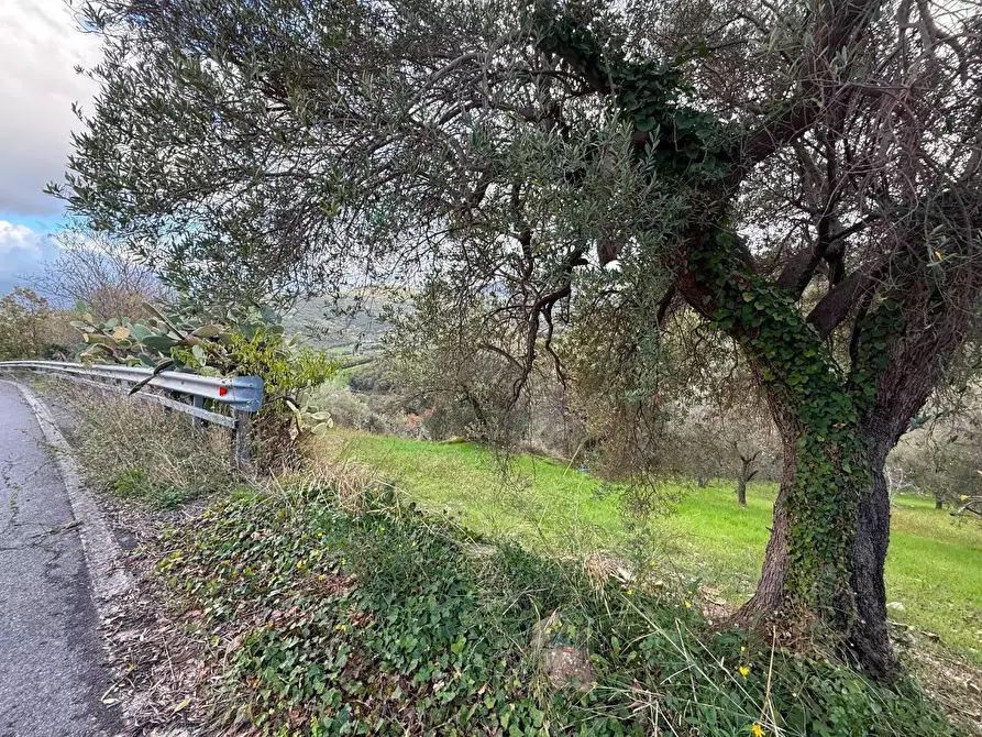 Immagine 6 di Terreno agricolo in vendita  in CONTRADA gelso 18 a Agropoli