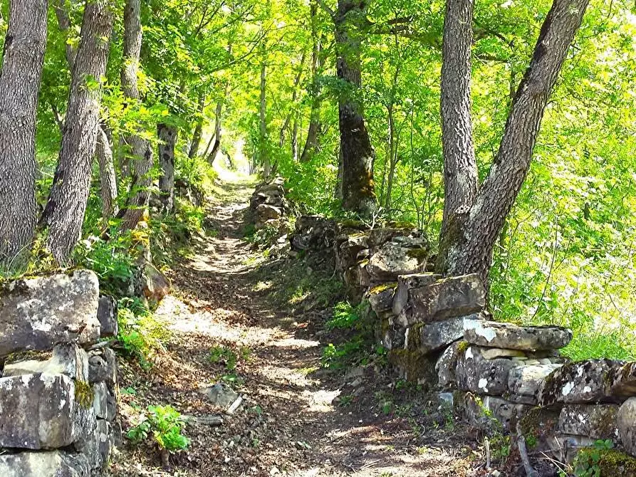 Immagine 16 di Appartamento in vendita  in PIAZZETTA val d'enza 2 a Vetto