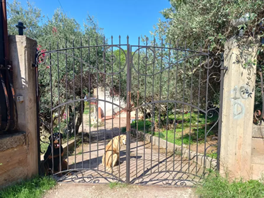 Immagine 4 di Villa in vendita  in CONTRADA bastardino a Misilmeri