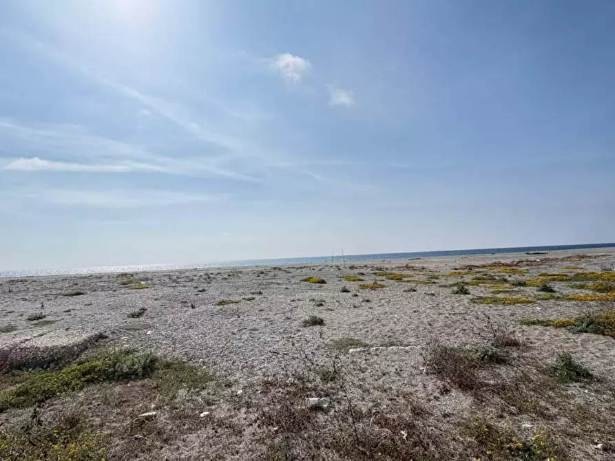 Immagine 11 di Appartamento in vendita  in CONTRADA cartolano a Falerna