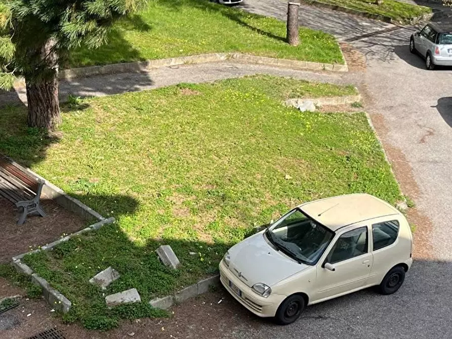 Immagine 15 di Appartamento in vendita  in PIAZZA dante 5 a Catanzaro