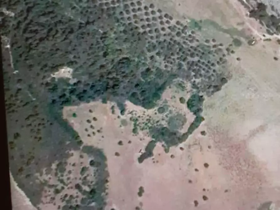 Immagine 1 di Terreno agricolo in vendita  in CONTRADA carraro a Amendolara