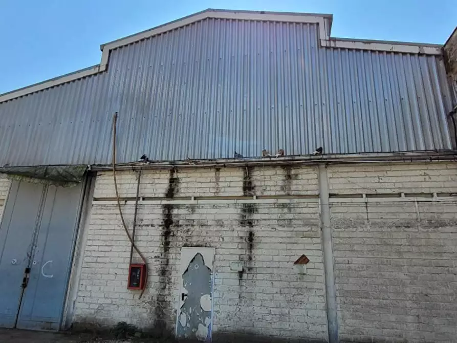 Immagine 12 di Capannone industriale in vendita  in VIA luigi enauidi 5 a Roma
