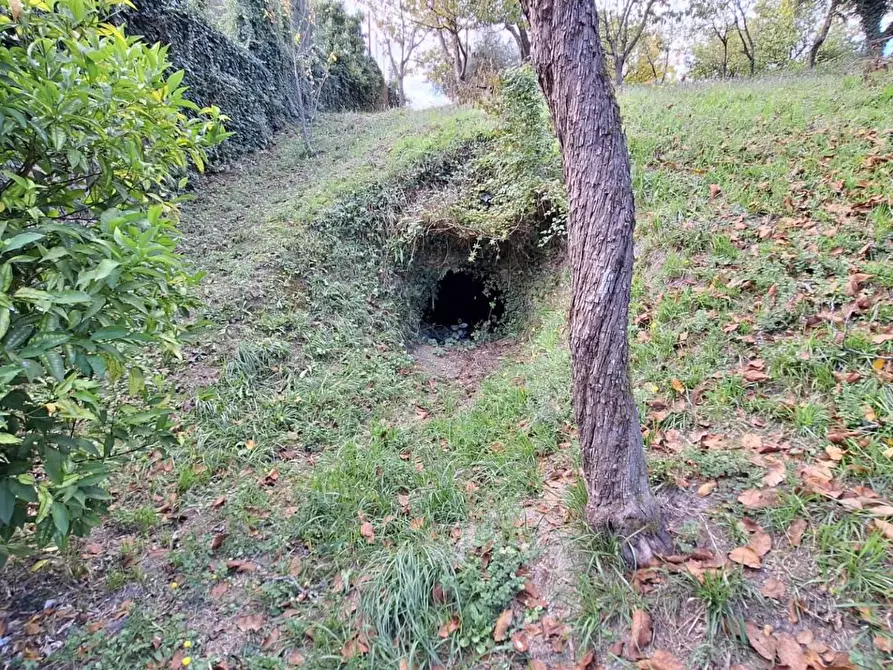 Immagine 10 di Terreno agricolo in vendita  in VIA mossa dei barberi 43 a Morlupo