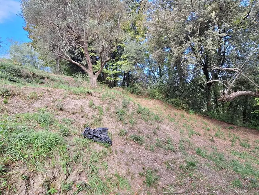 Immagine 11 di Terreno agricolo in vendita  in VIA mossa dei barberi 43 a Morlupo
