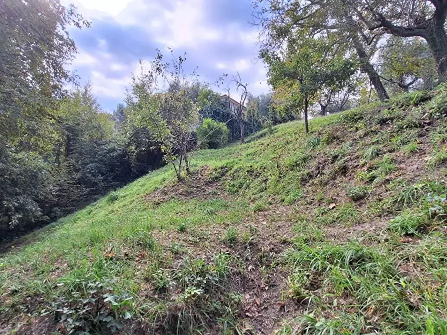 Immagine 12 di Terreno agricolo in vendita  in VIA mossa dei barberi 43 a Morlupo