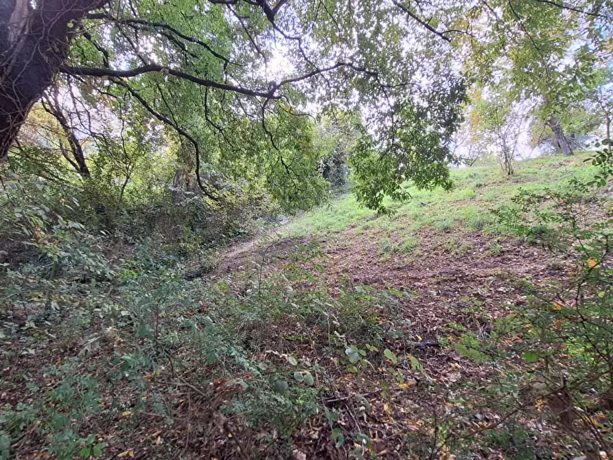 Immagine 13 di Terreno agricolo in vendita  in VIA mossa dei barberi 43 a Morlupo