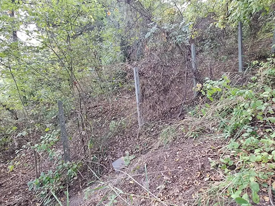 Immagine 14 di Terreno agricolo in vendita  in VIA mossa dei barberi 43 a Morlupo