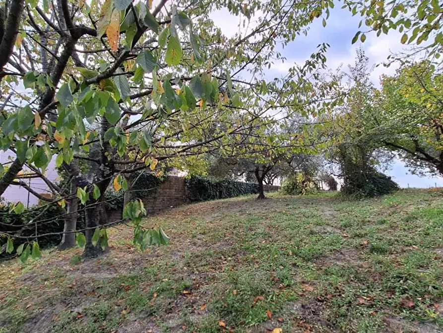 Immagine 17 di Terreno agricolo in vendita  in VIA mossa dei barberi 43 a Morlupo