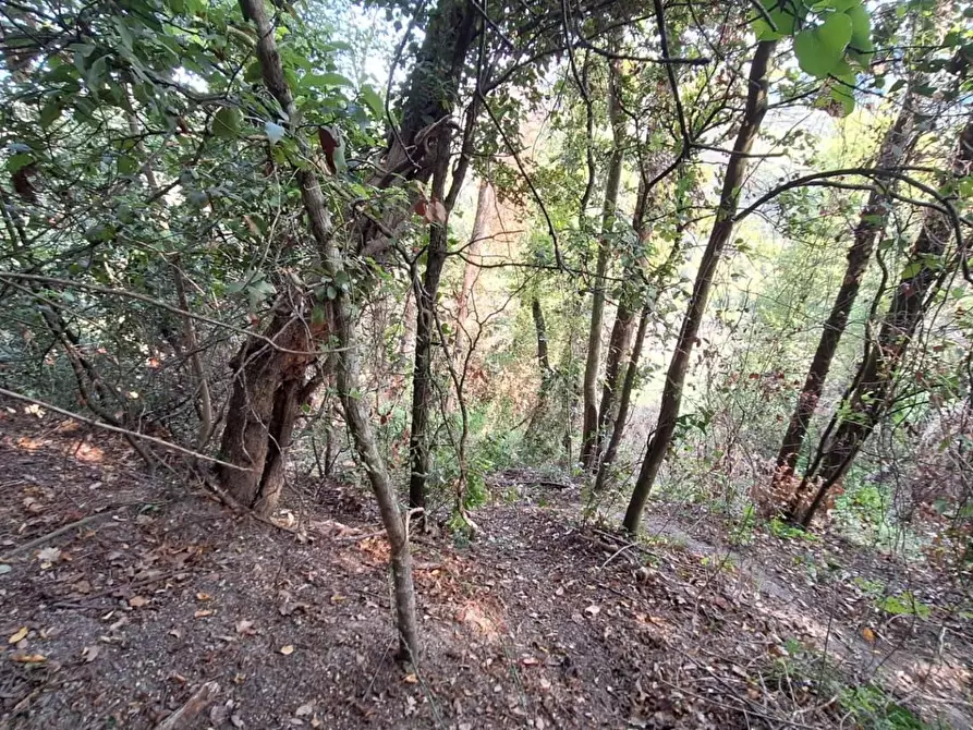 Immagine 18 di Terreno agricolo in vendita  in VIA mossa dei barberi 43 a Morlupo