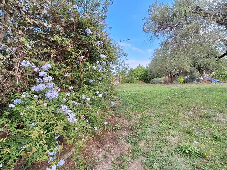 Immagine 2 di Terreno agricolo in vendita  in VIA mossa dei barberi 43 a Morlupo