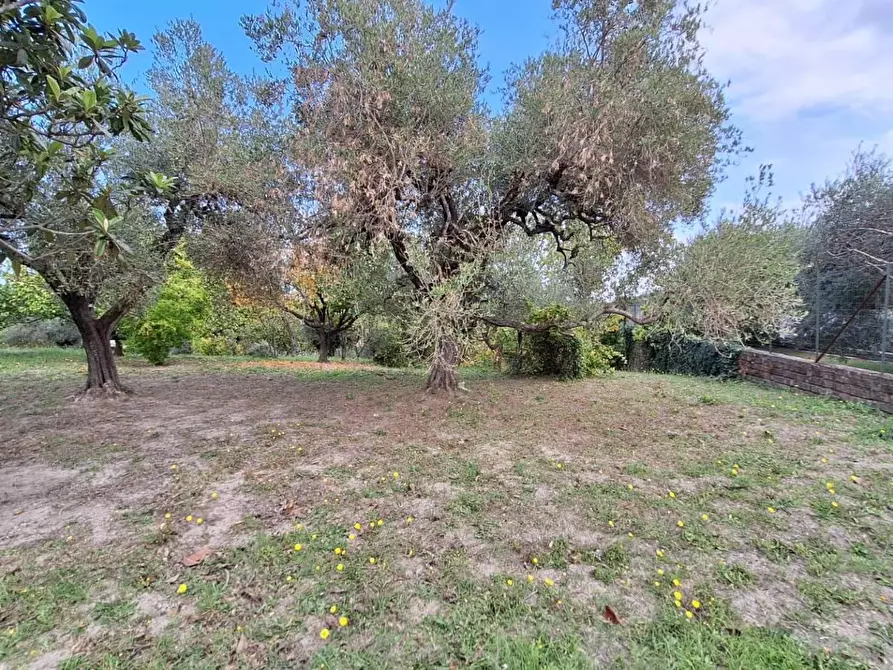 Immagine 4 di Terreno agricolo in vendita  in VIA mossa dei barberi 43 a Morlupo