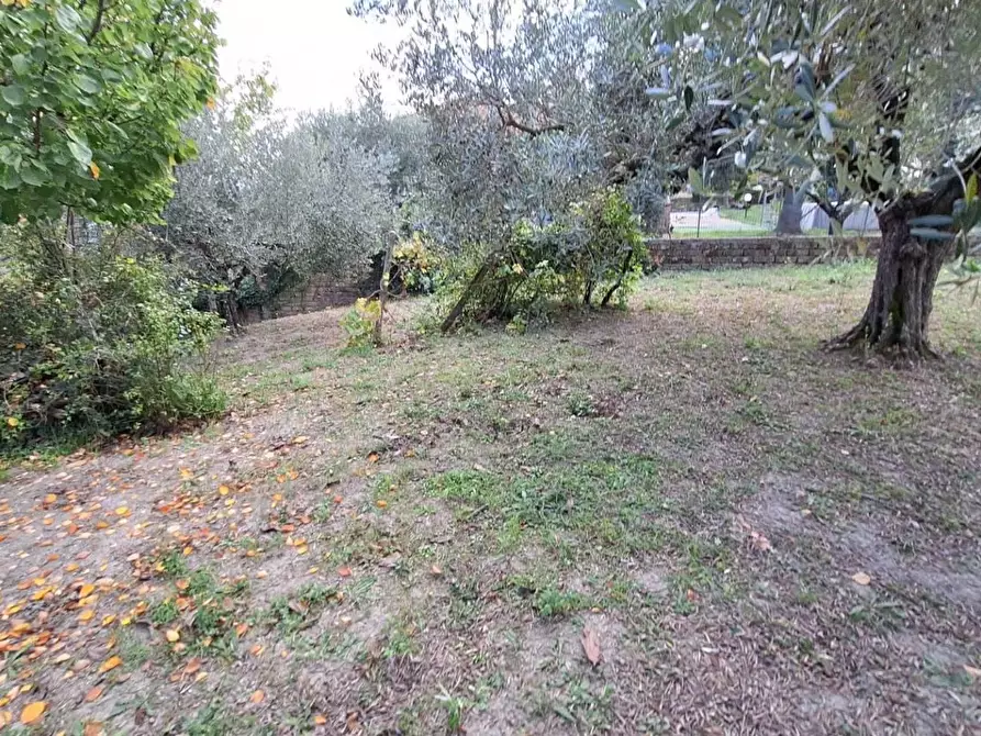 Immagine 5 di Terreno agricolo in vendita  in VIA mossa dei barberi 43 a Morlupo