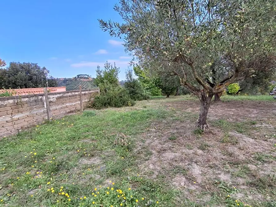 Immagine 6 di Terreno agricolo in vendita  in VIA mossa dei barberi 43 a Morlupo