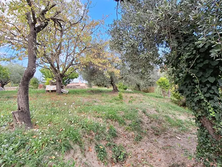 Immagine 8 di Terreno agricolo in vendita  in VIA mossa dei barberi 43 a Morlupo