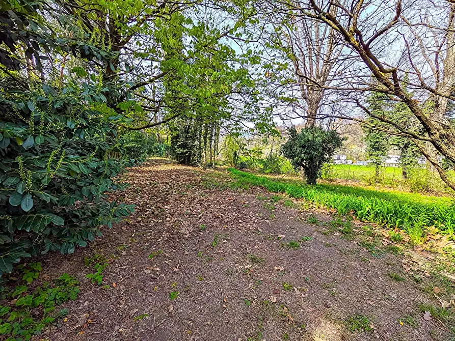 Immagine 27 di Villa in affitto  in VIA costa 23 a Alpignano