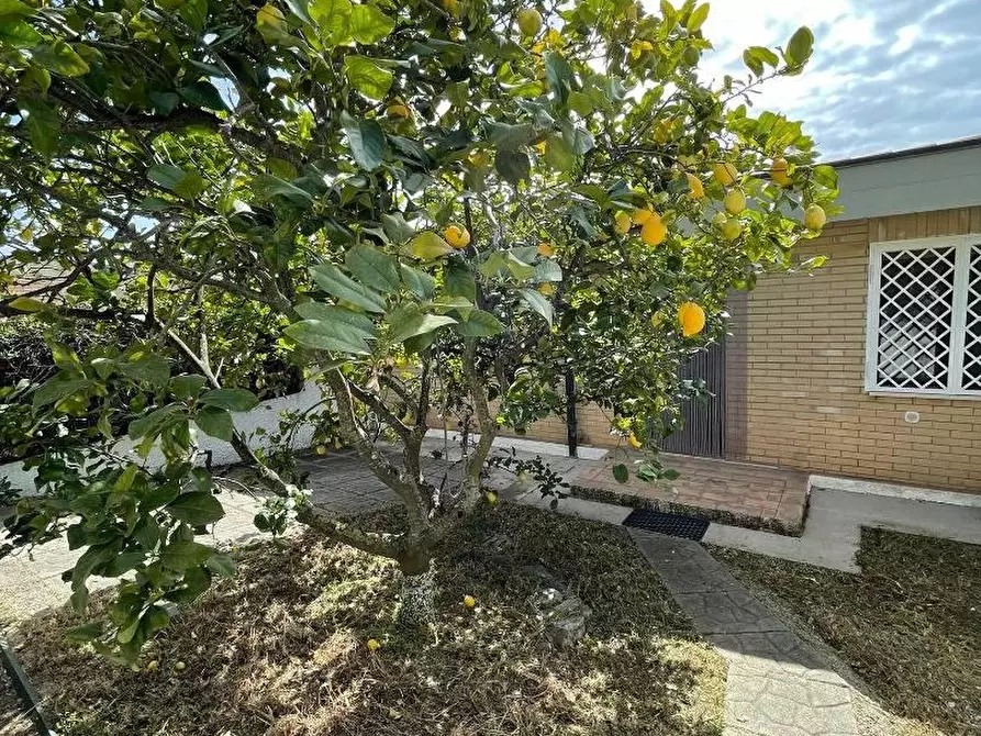 Immagine 3 di Villetta a schiera in vendita  in LOCALITA'maiolino a Gizzeria