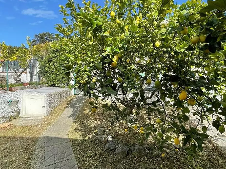 Immagine 4 di Villetta a schiera in vendita  in LOCALITA'maiolino a Gizzeria