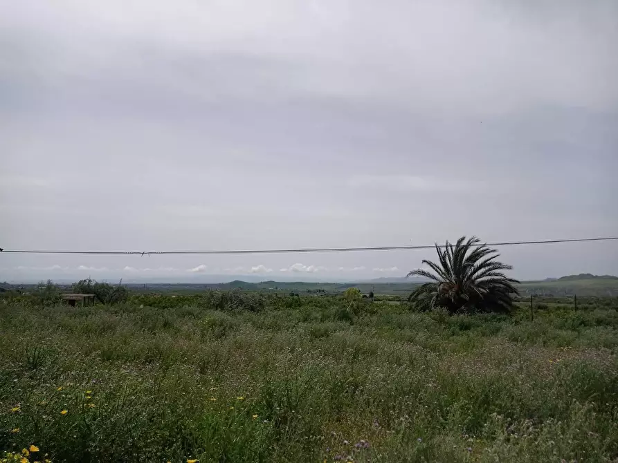 Immagine 4 di Rustico / casale in vendita  in VIA san marco a Paterno'