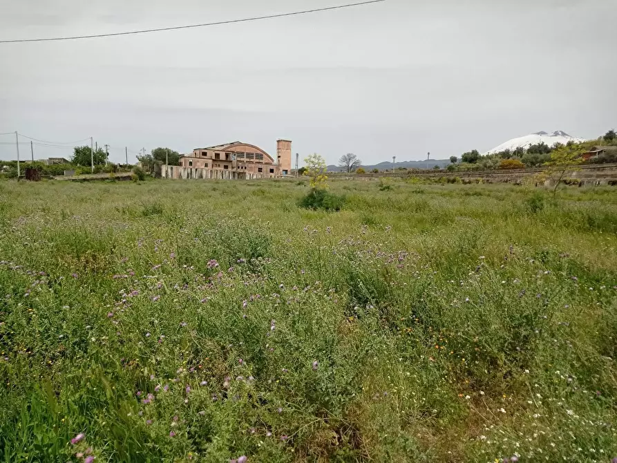 Immagine 6 di Rustico / casale in vendita  in VIA san marco a Paterno'