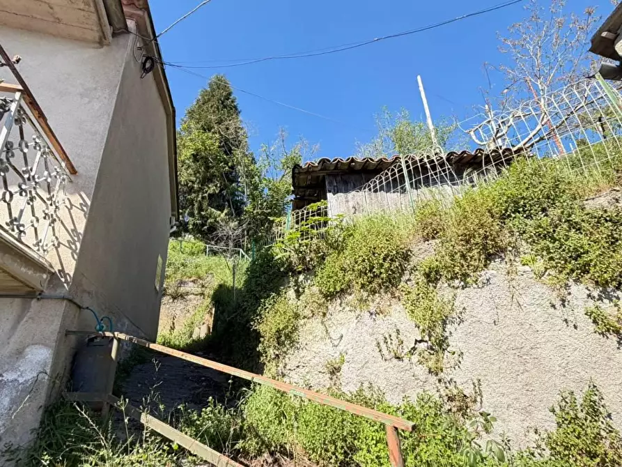 Immagine 3 di Casa indipendente in vendita  in CONTRADA forestella a Serrastretta