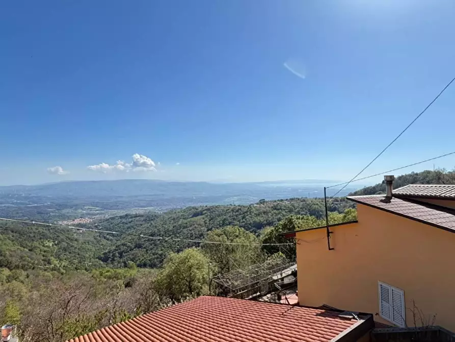 Immagine 4 di Casa indipendente in vendita  in CONTRADA forestella a Serrastretta